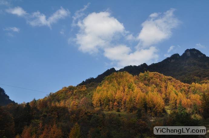 神農架大九湖旅游攻略_湖北神農架旅游景點門票多少錢_湖北神農架景點