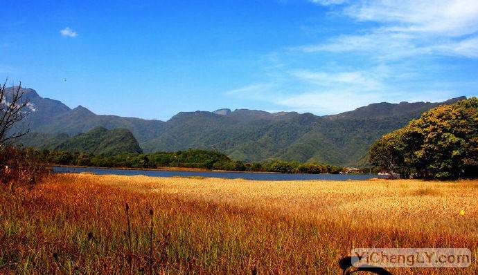 湖北神農架旅游景點門票多少錢_湖北神農架景點_神農架大九湖旅游攻略