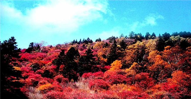 紅坪畫廊