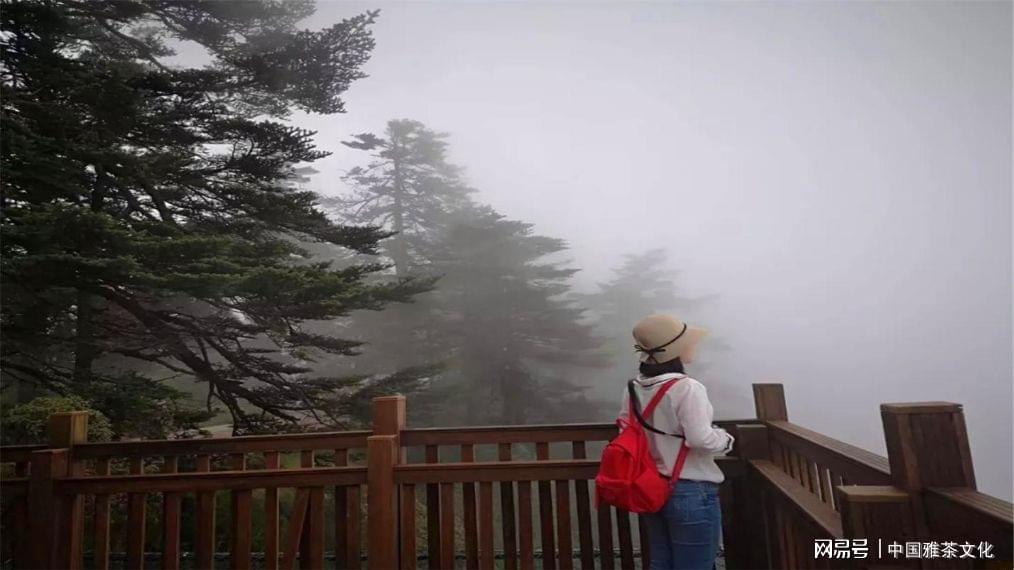 青山不老千秋畫綠水無弦萬古琴_青山千秋畫綠水萬古琴_青山不墨千秋畫 綠水無弦萬古琴