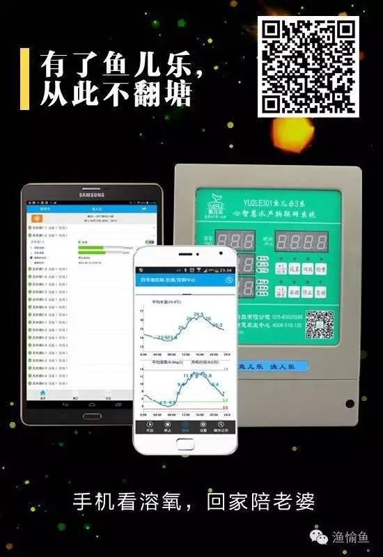 能賺錢的觀賞魚_觀賞養賺錢魚好嗎_養觀賞魚賺錢嗎