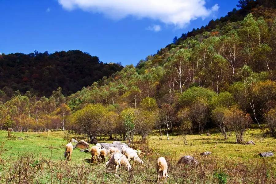 關山湖風景區游玩攻略_關山湖風景區游玩攻略_關山湖風景區游玩攻略