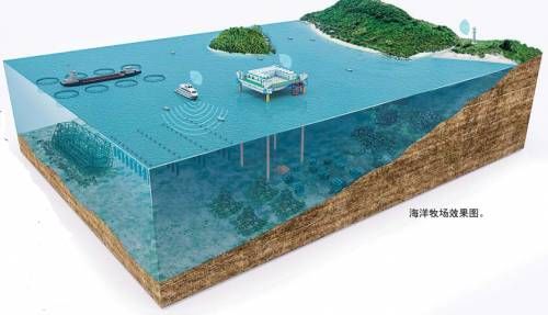 觀賞魚介紹電子版圖片_觀賞魚介紹視頻_觀賞魚介紹