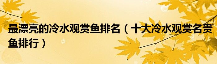 冷水觀賞魚什么魚最好養(yǎng)_好養(yǎng)的觀賞魚冷水_淡水觀賞魚冷水