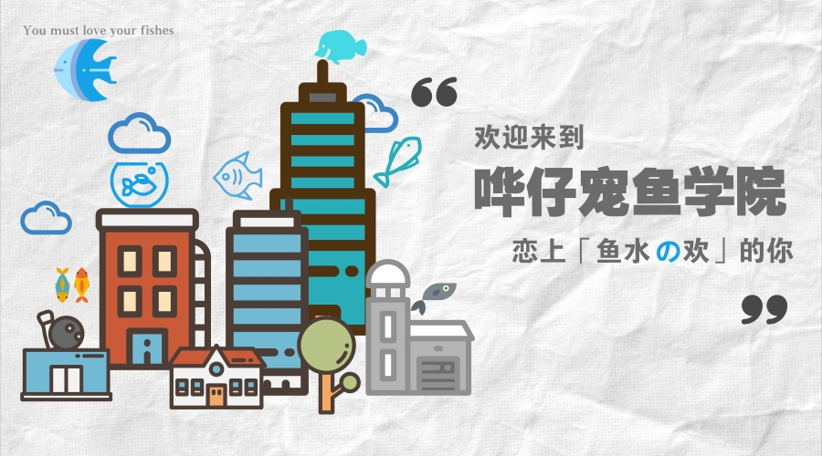好養(yǎng)的觀賞魚排行榜_觀賞魚養(yǎng)什么品種好_觀賞魚易養(yǎng)排行榜