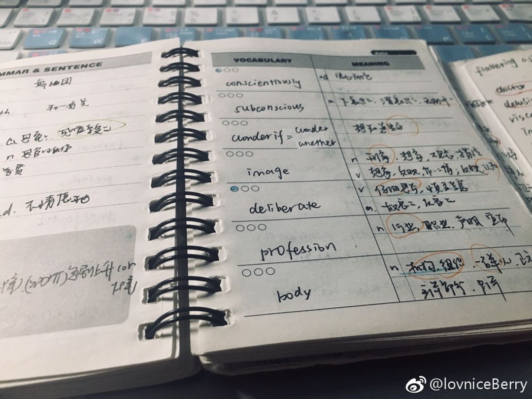 我的假期英語作文50字帶翻譯_我的假期英語作文50字帶翻譯_我的假期英語作文50字帶翻譯