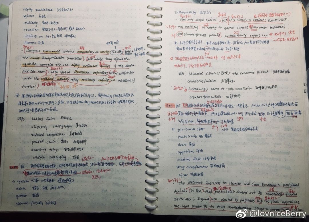 我的假期英語作文50字帶翻譯_我的假期英語作文50字帶翻譯_我的假期英語作文50字帶翻譯