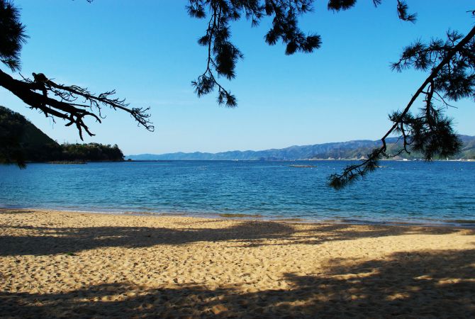 中青旅日本旅游線路推薦（暢游日本必去景點）