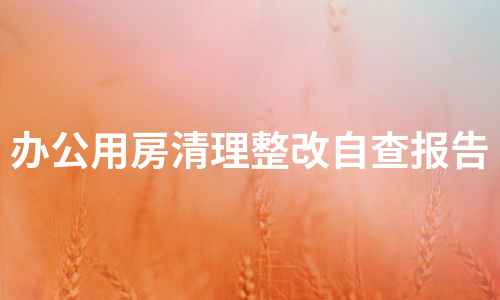 辦公用房清理整改自查報(bào)告（實(shí)用6篇）