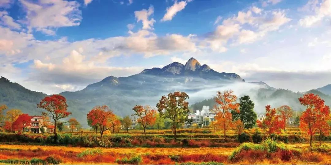安徽塔川旅游攻略_安徽塔川自駕游攻略_安徽塔川景點介紹