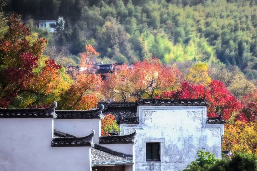 安徽塔川旅游攻略_安徽塔川自駕游攻略_安徽塔川景點介紹