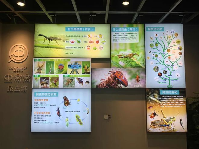 非遺展館設計_展館非遺設計理念_展館非遺設計圖片