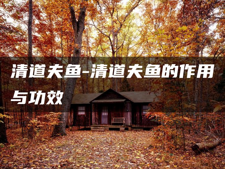 清道夫魚-清道夫魚的作用與功效