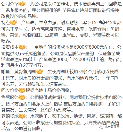 零下15度還能正常生長(zhǎng)，養(yǎng)成后還保底15塊回收？這個(gè)黃顙魚苗那么神？