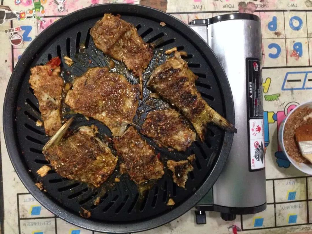 觀賞小型魚種類_好看的小型觀賞魚_比較好看的小型觀賞魚