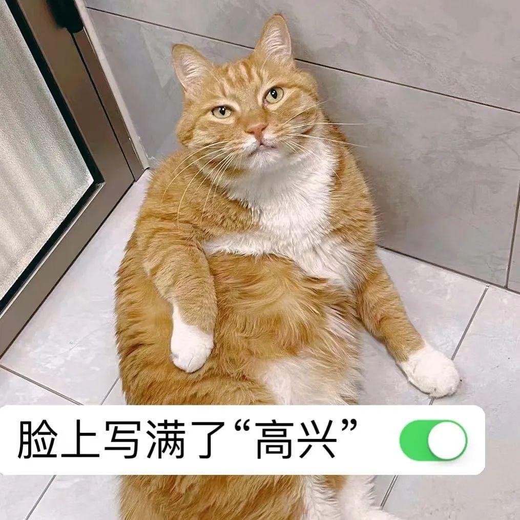 繼承房子已經過戶可以起訴嗎_訴訟繼承房產過戶手續_起訴過戶繼承房子可以撤銷嗎