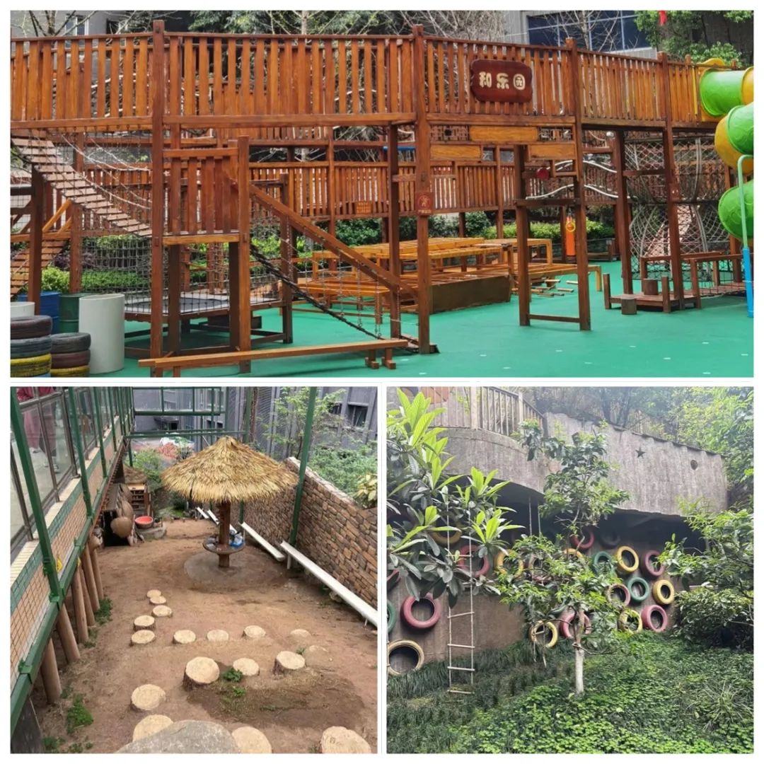 培訓骨干力量_骨干培訓感想_幼兒園骨干教師能力提升培訓心得體會