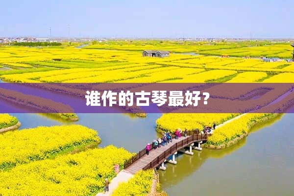 古琴音樂加長版_古琴加長音樂版怎么彈_古琴獨奏加長版