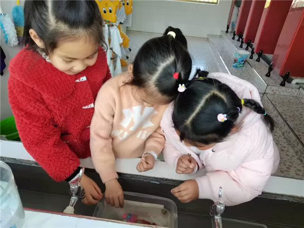 為什么觀賞魚不能吃_觀賞魚吃菠菜有什么好處_觀賞魚吃蚯蚓嗎