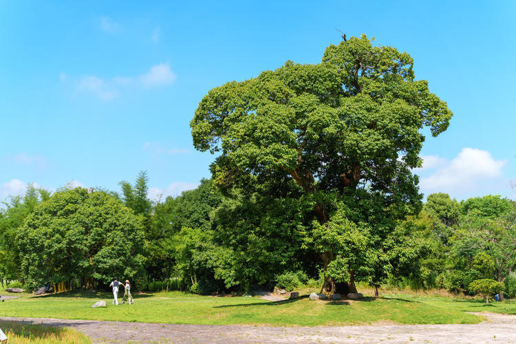 神仙旅游景點_神仙居旅游朋友圈說說_神仙居攻略二日游自由行