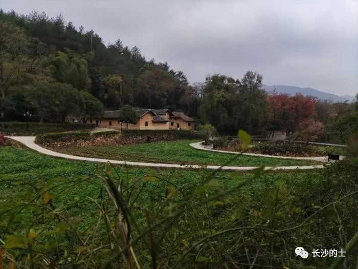 長沙韶山旅游需要幾天_長沙到韶山旅游攻略自助游_長沙韶山自駕游攻略