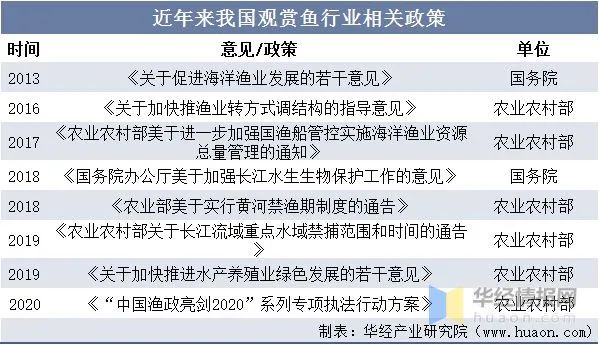 鯉科魚(yú)好養(yǎng)嗎_十種鯉科魚(yú)_鯉科觀(guān)賞魚(yú)