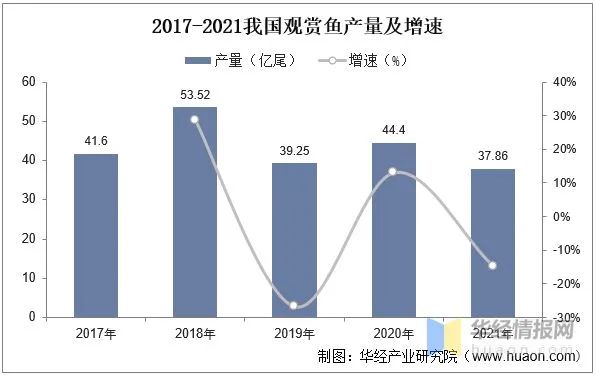 鯉科觀(guān)賞魚(yú)_鯉科魚(yú)好養(yǎng)嗎_十種鯉科魚(yú)