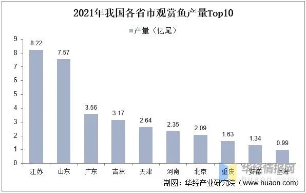 鯉科魚(yú)好養(yǎng)嗎_鯉科觀(guān)賞魚(yú)_十種鯉科魚(yú)