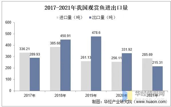 鯉科魚(yú)好養(yǎng)嗎_十種鯉科魚(yú)_鯉科觀(guān)賞魚(yú)