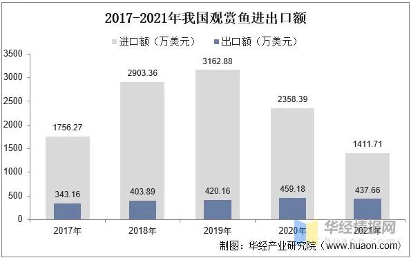 十種鯉科魚(yú)_鯉科觀(guān)賞魚(yú)_鯉科魚(yú)好養(yǎng)嗎
