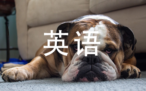 她的英語(yǔ)怎么說(shuō)_東北英語(yǔ)哥用多國(guó)口音說(shuō)英語(yǔ)_鬼子說(shuō)漢語(yǔ)納粹說(shuō)英語(yǔ)