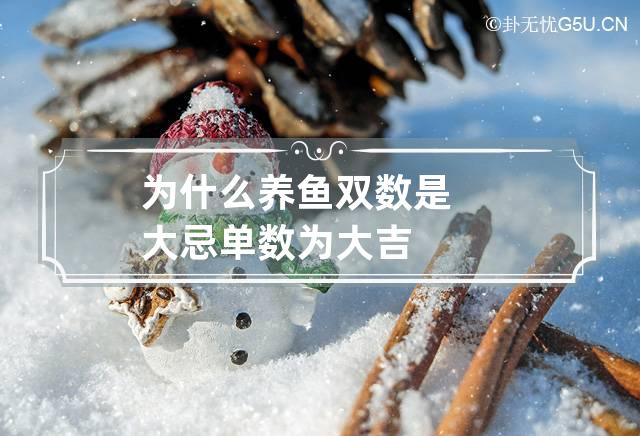 養觀賞魚單數好還是雙數好_觀賞魚為什么養單不養雙_養觀賞魚單敖還是雙敖