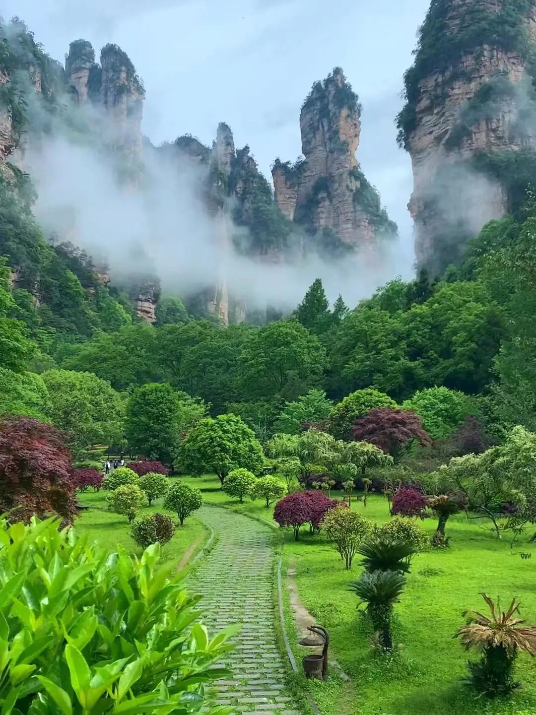 張家界金鞭溪好玩嗎_張家界金鞭溪旅游攻略_張家界金鞭溪全長幾公里