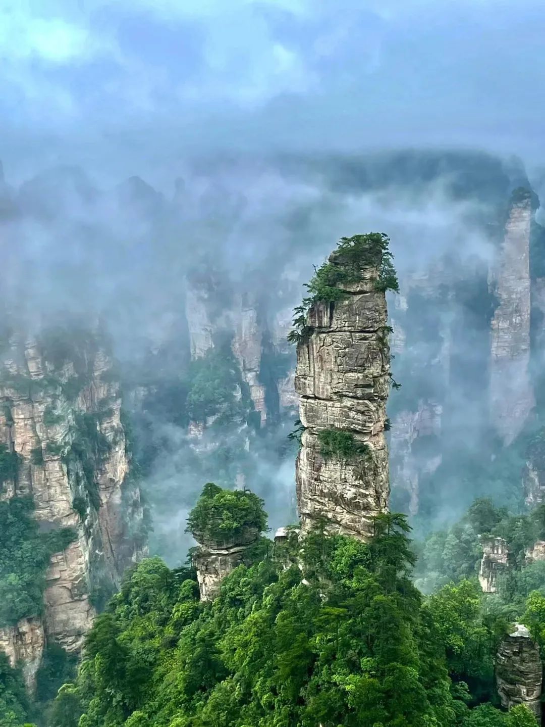 張家界金鞭溪旅游攻略_張家界金鞭溪全長幾公里_張家界金鞭溪好玩嗎