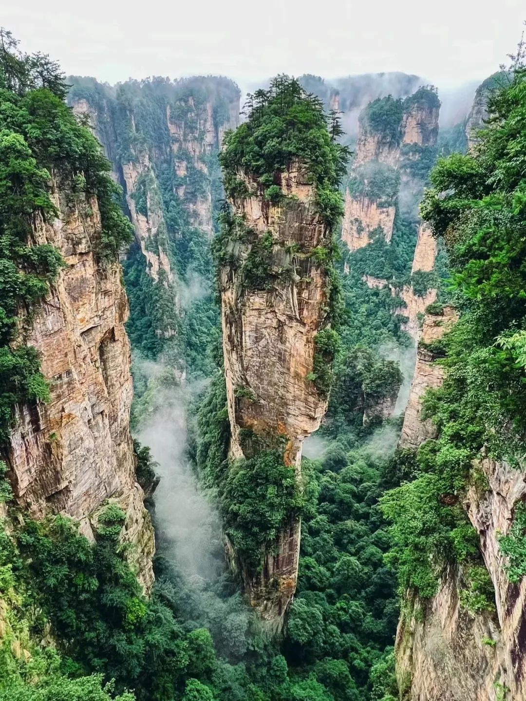 張家界金鞭溪好玩嗎_張家界金鞭溪旅游攻略_張家界金鞭溪全長幾公里