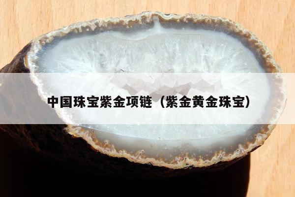 黃金項鏈多少錢一條_金條項鏈的寓意_項鏈黃金錢條圖片大全