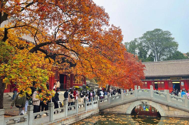 寫一份故宮博物院旅游攻略六年級_故宮博物院旅游攻略作文_故宮博物院游覽路線六年級作文