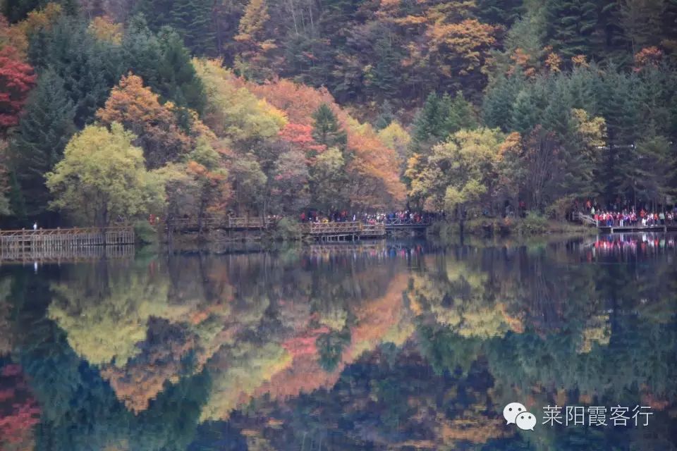 上海去九寨溝旅游費用標準_上海九寨溝自駕游攻略_上海到九寨溝自由行攻略