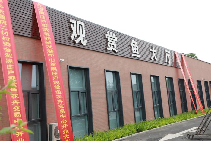 東營觀賞魚市場_東勝觀賞魚市場_東勝區海鮮批發市場