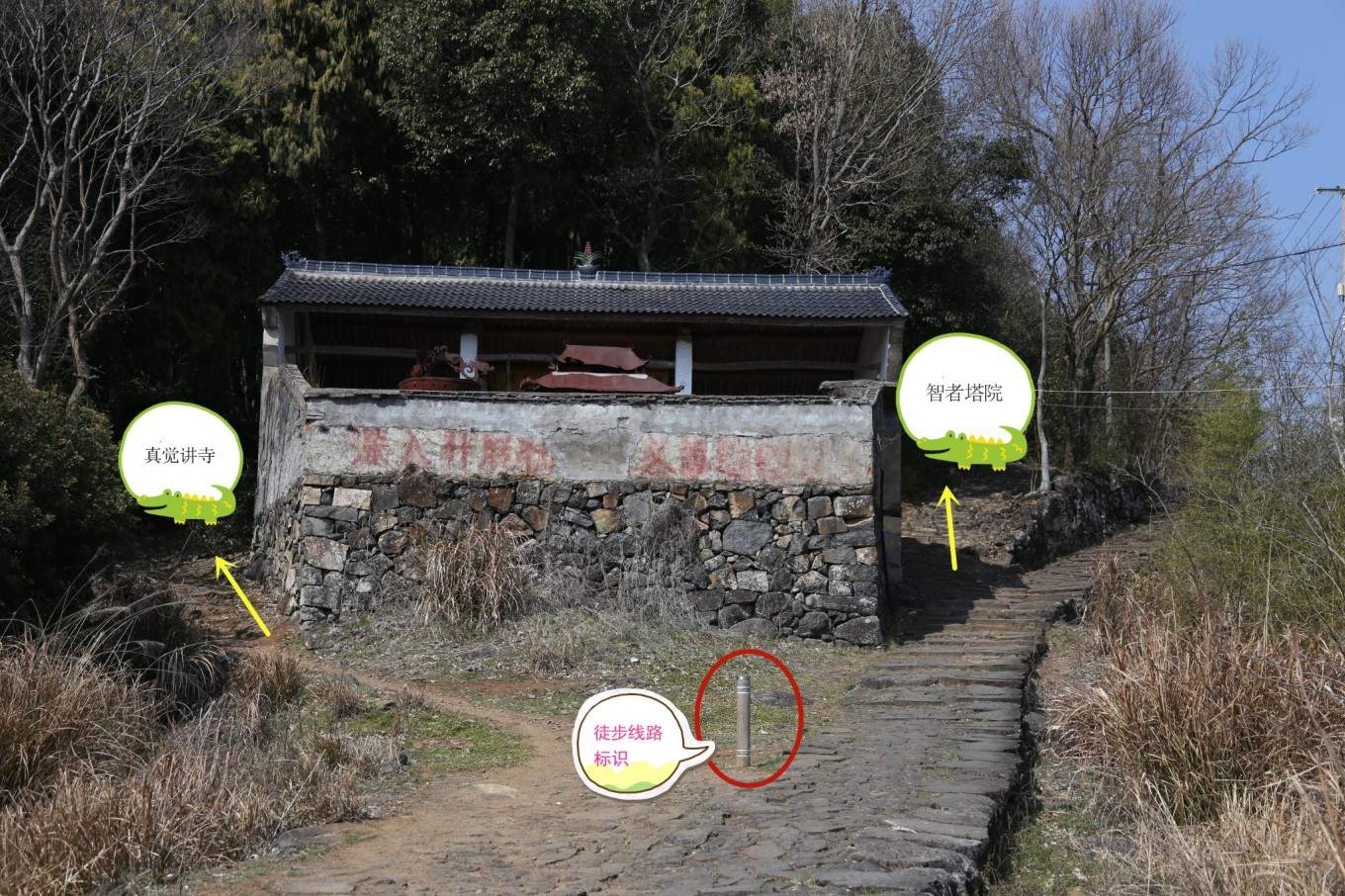 國清寺攻略_國清寺攻略_國清寺攻略