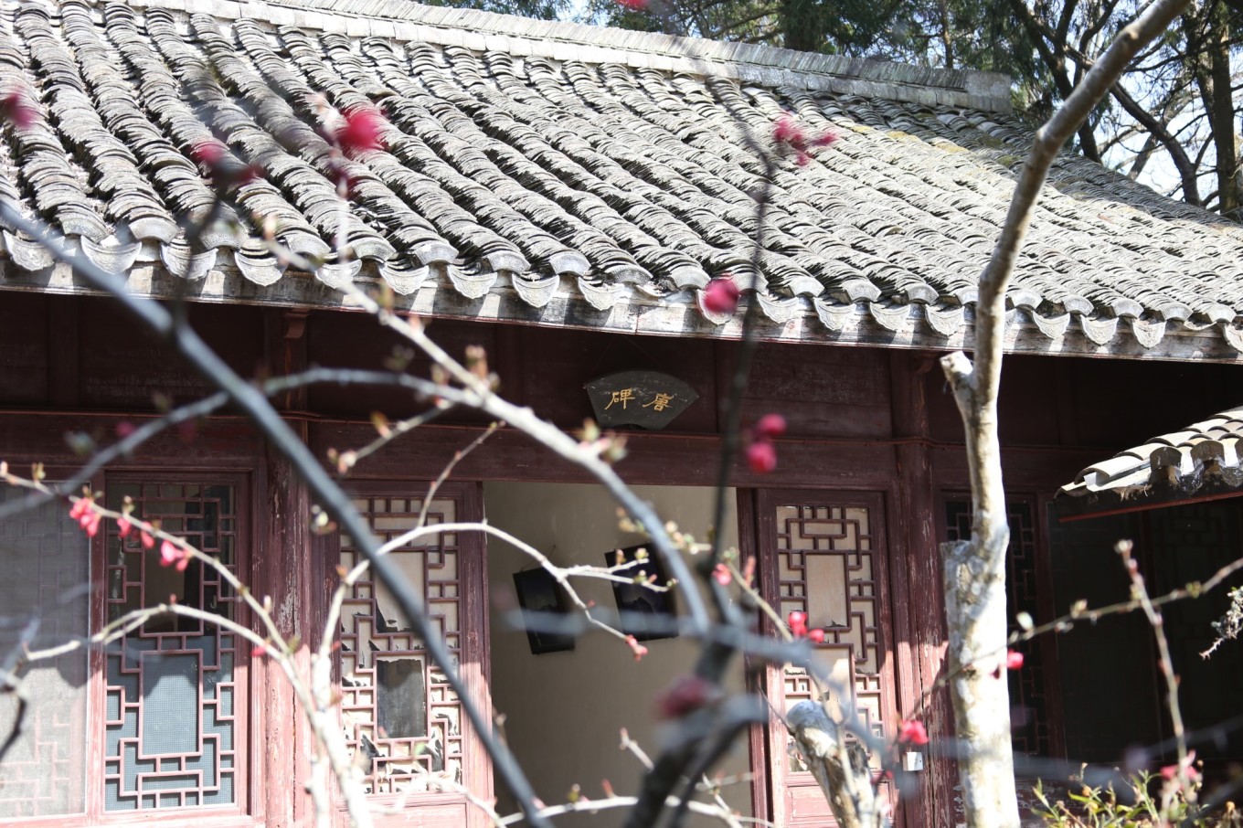 國清寺攻略_國清寺攻略_國清寺攻略