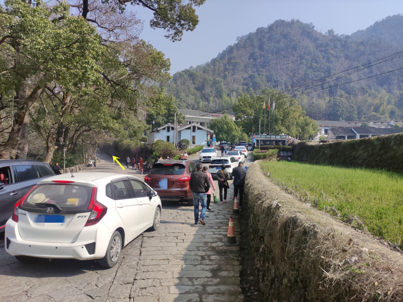 國清寺攻略_國清寺攻略_國清寺攻略