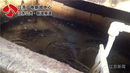 觀賞魚魚卵幾天變小魚_觀賞魚魚卵_觀賞魚魚卵孵化要幾天