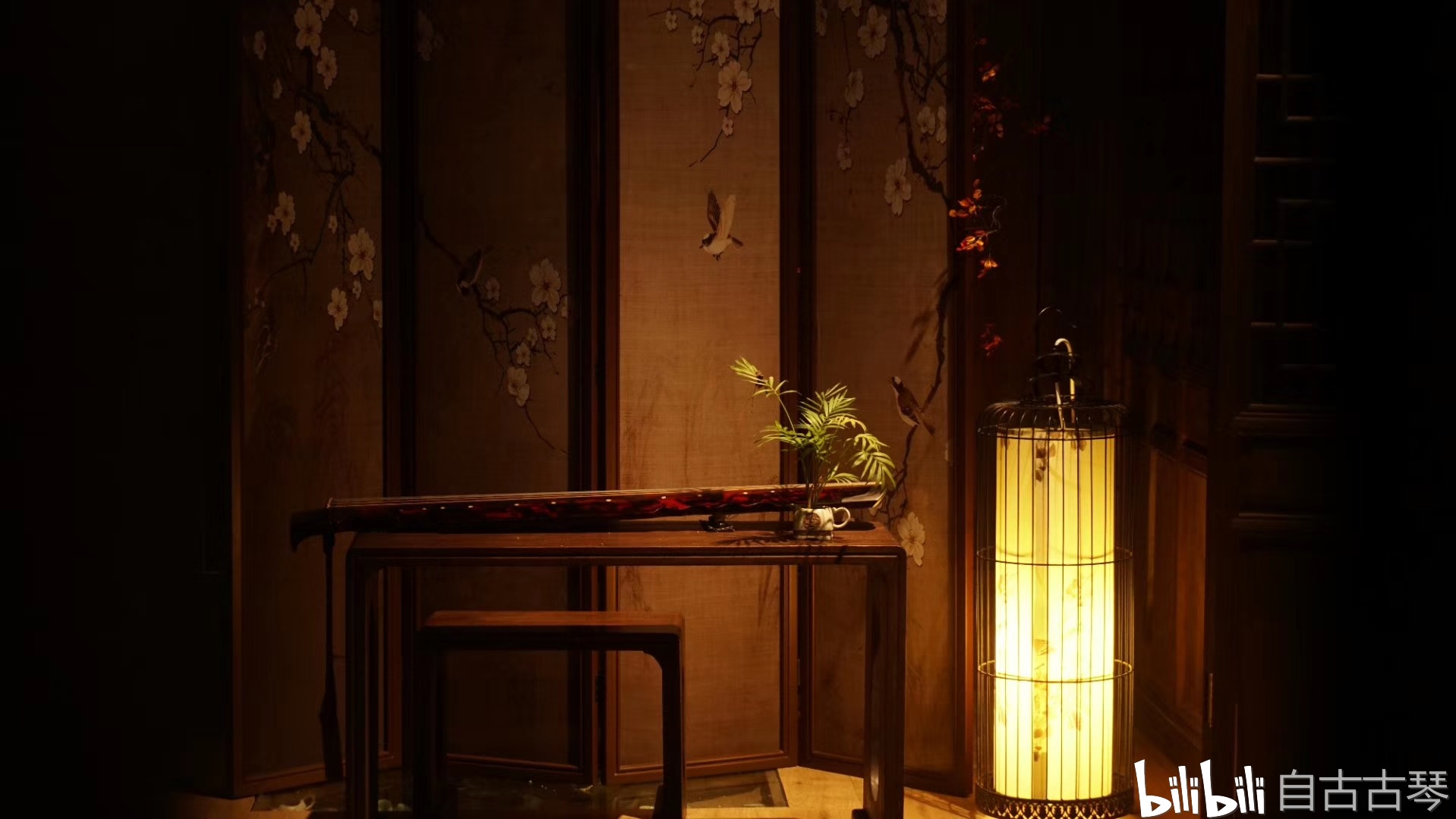 古琴越養越好_古琴養琴_古琴養出好音色