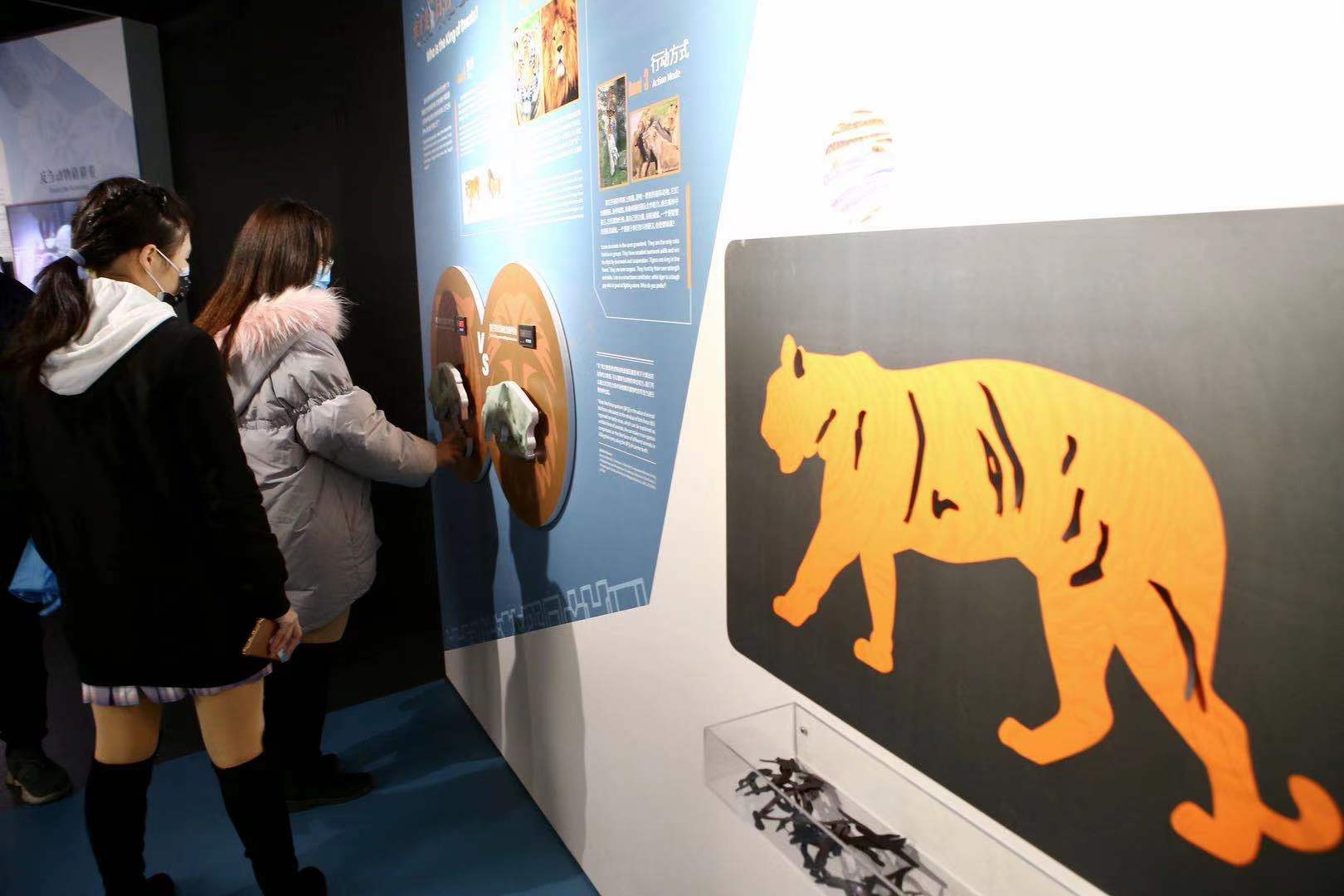 天文展廳設計_天文館展廳介紹_天文展覽場景