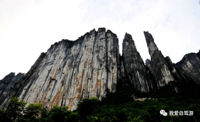 神龍架風(fēng)景區(qū)自駕旅游攻略_神龍架自駕游路線_神龍架自駕危險嗎