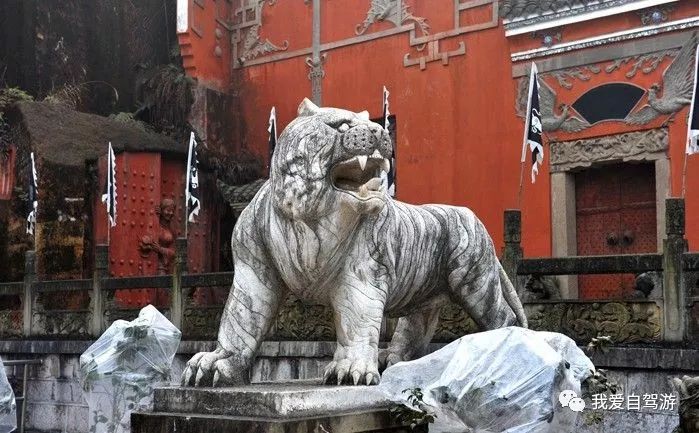 神龍架自駕危險嗎_神龍架自駕游路線_神龍架風(fēng)景區(qū)自駕旅游攻略