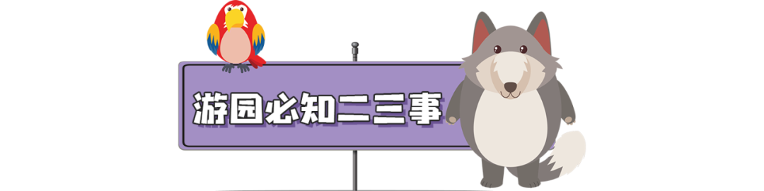 廣州長隆歡樂世界離市區多遠_廣州長隆歡樂世界去一趟多少錢_去廣州長隆歡樂世界攻略