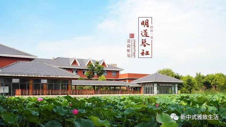 古琴引的指法_古琴指法引上九合_古琴指法引上
