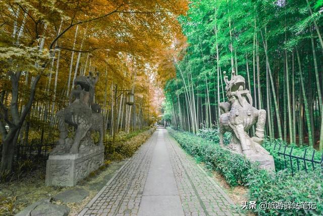 龍井旅游景點哪里好玩_龍井旅游_龍井旅游攻略必玩的景點